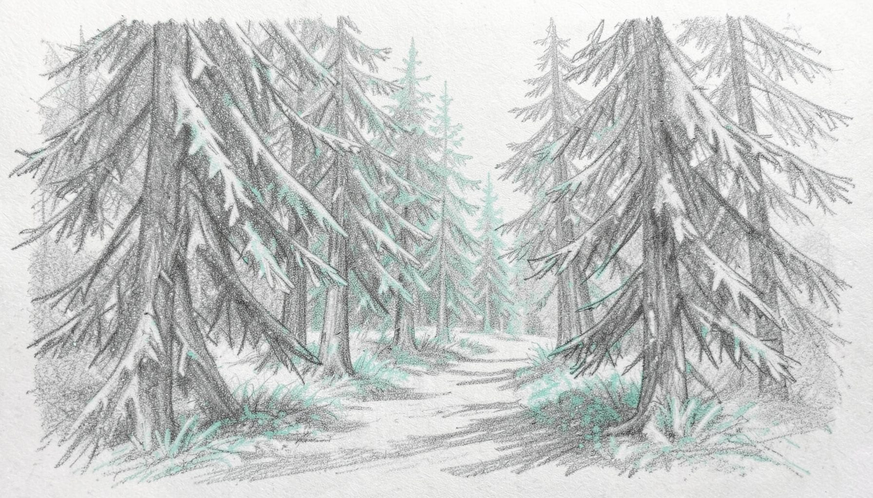 Graphite pencil sketch of a calm forest path winding through tall conifer trees, drawn with soft grey strokes and subtle teal shading